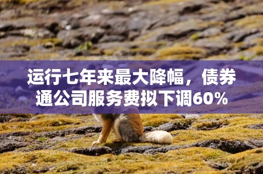 运行七年来最大降幅，债券通公司服务费拟下调60%