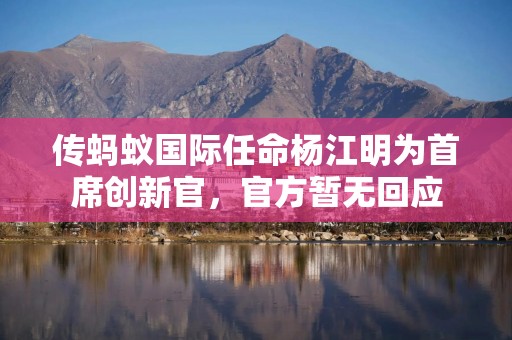 传蚂蚁国际任命杨江明为首席创新官，官方暂无回应