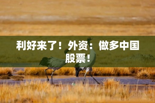 利好来了！外资：做多中国股票！