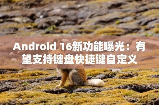 Android 16新功能曝光：有望支持键盘快捷键自定义