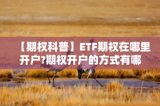 【期权科普】ETF期权在哪里开户?期权开户的方式有哪些?