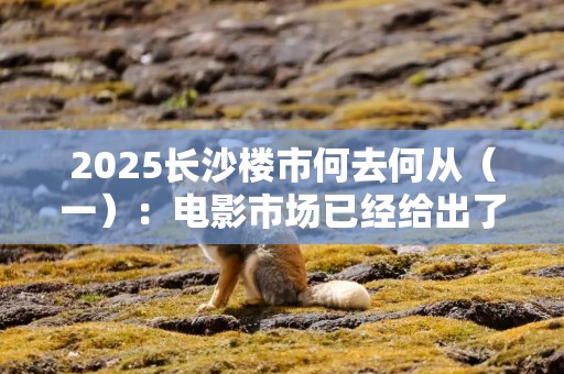 2025长沙楼市何去何从（一）：电影市场已经给出了预告