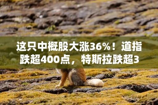 这只中概股大涨36%！道指跌超400点，特斯拉跌超3%，亚马逊市值一夜蒸发超7300亿元，啥情况？