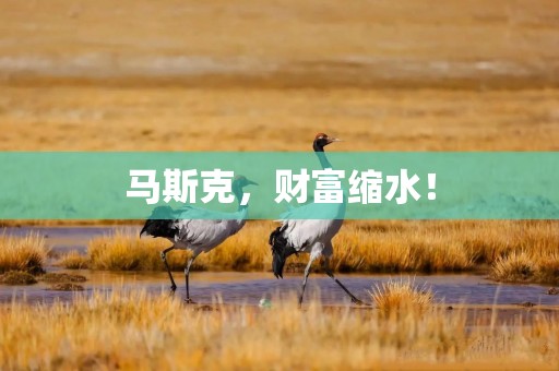 马斯克，财富缩水！