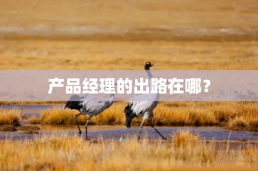 产品经理的出路在哪？