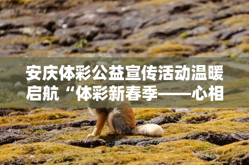 安庆体彩公益宣传活动温暖启航“体彩新春季——心相聚 梦同圆”