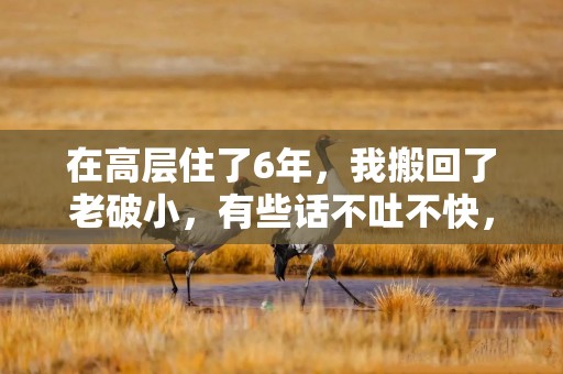 在高层住了6年，我搬回了老破小，有些话不吐不快，太真实了