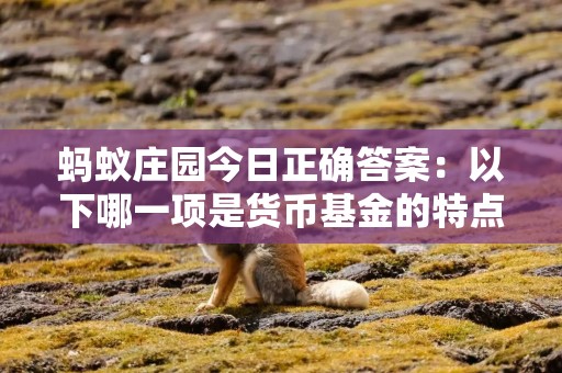 蚂蚁庄园今日正确答案：以下哪一项是货币基金的特点？