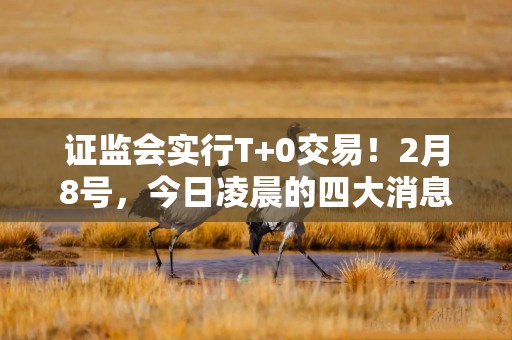 证监会实行T+0交易！2月8号，今日凌晨的四大消息全面来袭！