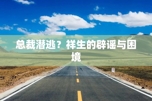 总裁潜逃？祥生的辟谣与困境