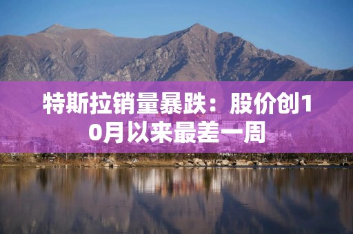 特斯拉销量暴跌：股价创10月以来最差一周