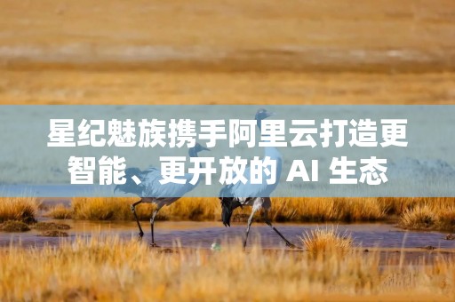 星纪魅族携手阿里云打造更智能、更开放的 AI 生态