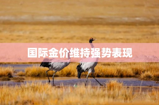 国际金价维持强势表现