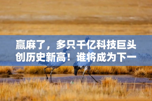 赢麻了，多只千亿科技巨头创历史新高！谁将成为下一个突破的优质股？