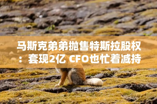 马斯克弟弟抛售特斯拉股权：套现2亿 CFO也忙着减持