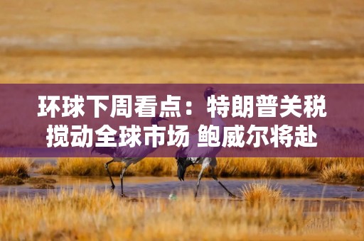 环球下周看点：特朗普关税搅动全球市场 鲍威尔将赴国会山接受拷问