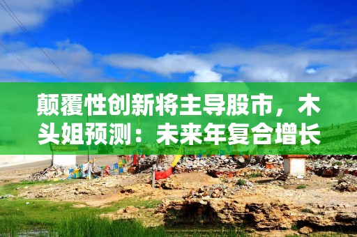 颠覆性创新将主导股市，木头姐预测：未来年复合增长率高达38%