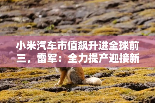 小米汽车市值飙升进全球前三，雷军：全力提产迎接新挑战！