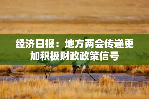 经济日报：地方两会传递更加积极财政政策信号