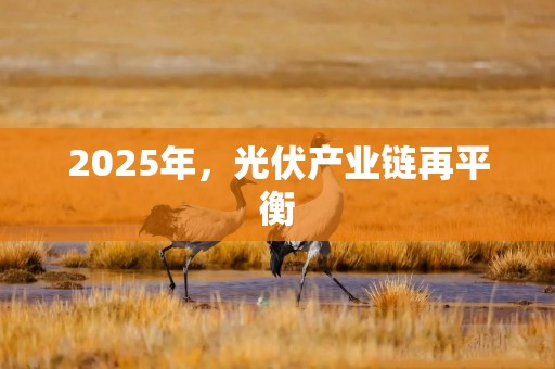 2025年，光伏产业链再平衡