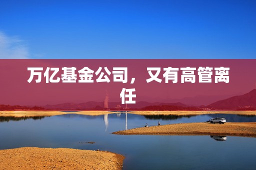万亿基金公司，又有高管离任