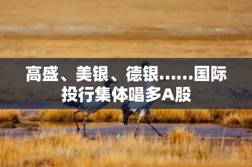 高盛、美银、德银……国际投行集体唱多A股