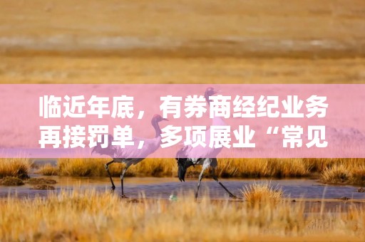 临近年底，有券商经纪业务再接罚单，多项展业“常见病”