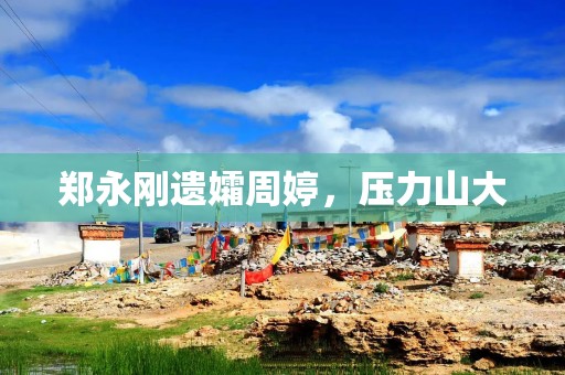 郑永刚遗孀周婷，压力山大