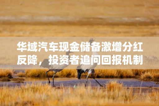 华域汽车现金储备激增分红反降，投资者追问回报机制，公司称综合考量市场动态