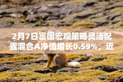 2月7日富国宏观策略灵活配置混合A净值增长0.59%，近6个月累计上涨28.1%