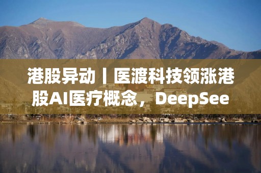 港股异动丨医渡科技领涨港股AI医疗概念，DeepSeek崛起催化中国科技股估值重构