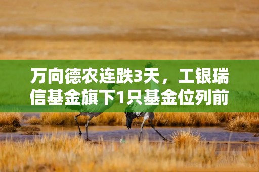 万向德农连跌3天，工银瑞信基金旗下1只基金位列前十大股东