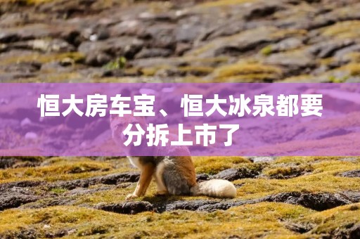 恒大房车宝、恒大冰泉都要分拆上市了