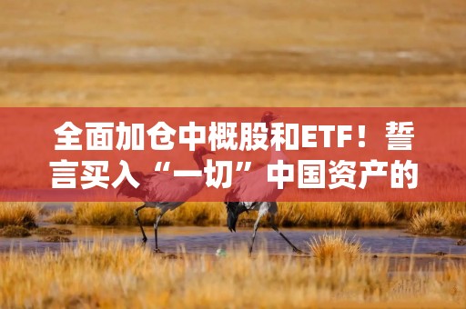 全面加仓中概股和ETF！誓言买入“一切”中国资产的对冲基金大佬再出手