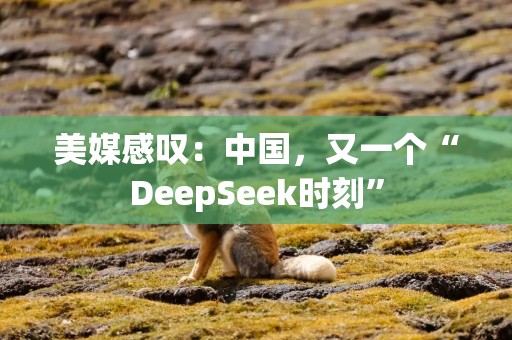 美媒感叹：中国，又一个“DeepSeek时刻”