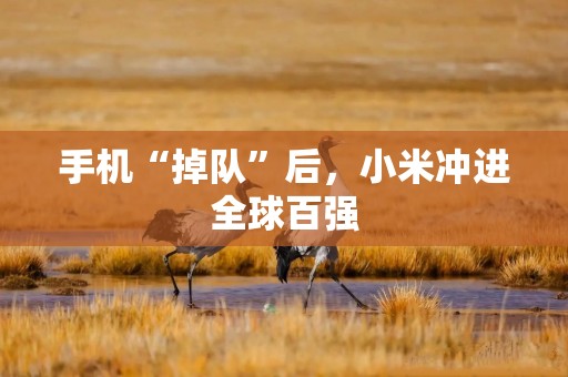 手机“掉队”后，小米冲进全球百强