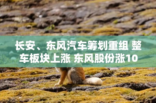长安、东风汽车筹划重组 整车板块上涨 东风股份涨10%