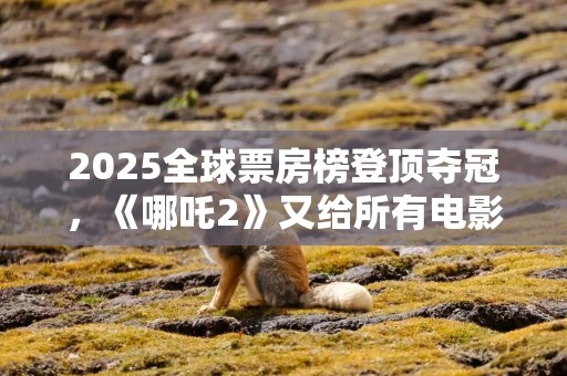2025全球票房榜登顶夺冠，《哪吒2》又给所有电影好好上了一课！