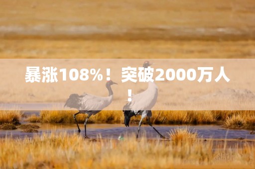 暴涨108%！突破2000万人！