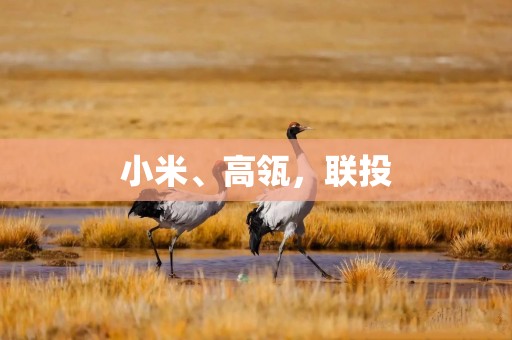 小米、高瓴，联投