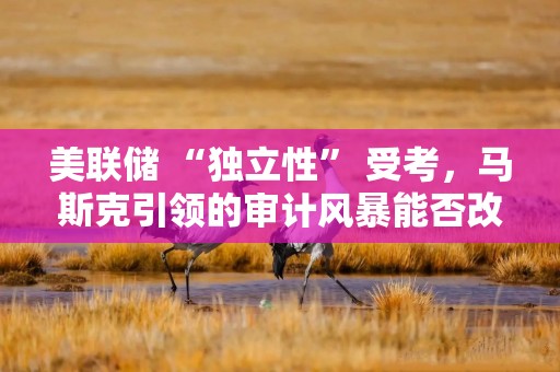 美联储 “独立性” 受考，马斯克引领的审计风暴能否改变游戏规则？