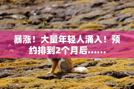 暴涨！大量年轻人涌入！预约排到2个月后……