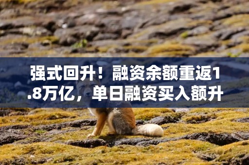 强式回升！融资余额重返1.8万亿，单日融资买入额升至2000亿，杠杆资金偏好哪些股？