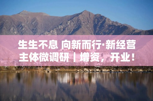 生生不息 向新而行·新经营主体微调研｜增资，开业！德企“智”造出圈！