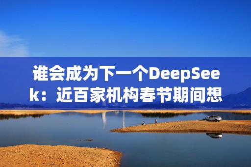 谁会成为下一个DeepSeek：近百家机构春节期间想托人投资，公司对商业化不感兴趣