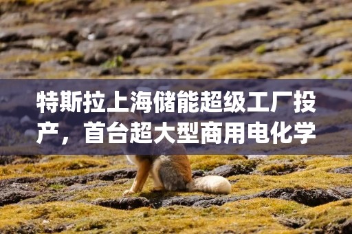 特斯拉上海储能超级工厂投产，首台超大型商用电化学储能系统Megapack正式下线