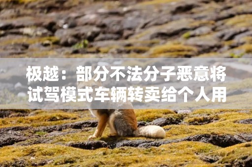 极越：部分不法分子恶意将试驾模式车辆转卖给个人用户，将全力追溯
