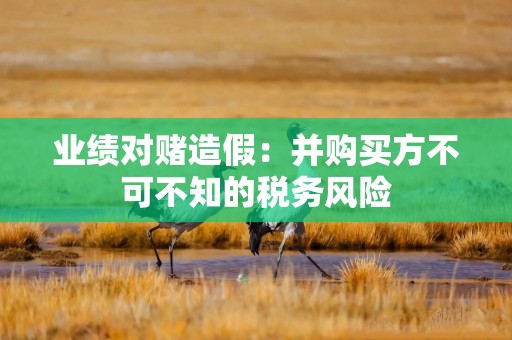 业绩对赌造假：并购买方不可不知的税务风险