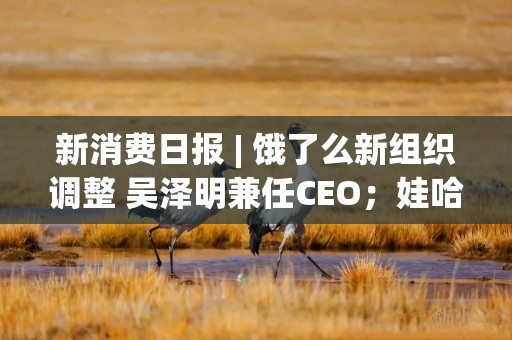 新消费日报 | 饿了么新组织调整 吴泽明兼任CEO；娃哈哈集团有限公司转让“娃哈哈”商标……