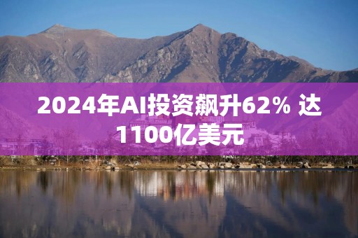 2024年AI投资飙升62% 达1100亿美元